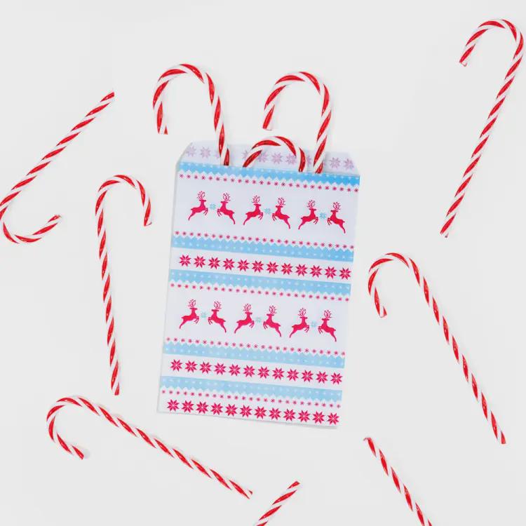 Jolly Reindeer Kraft Paper Bags | Christmas Treat Bags, Eco Friendly Packaging (5x7 & 7x9)